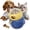 Blue, variant on Cat Interactive Toys for Indoor Cats Kitten Wand Feather Toy Weight Loss Kitty Funny Catnip Balls Pet Supplies Birthday Gift