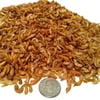 Aquatic Foods Freeze Dried Gammarus, Great for smaller Tropicals, Marines, small Birds, Reptiles - 2-lbs