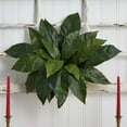 thumbnail image 5 of Nearly Natural 23” Bird’s Nest Fern Artificial Plant (Set of 3), 5 of 5