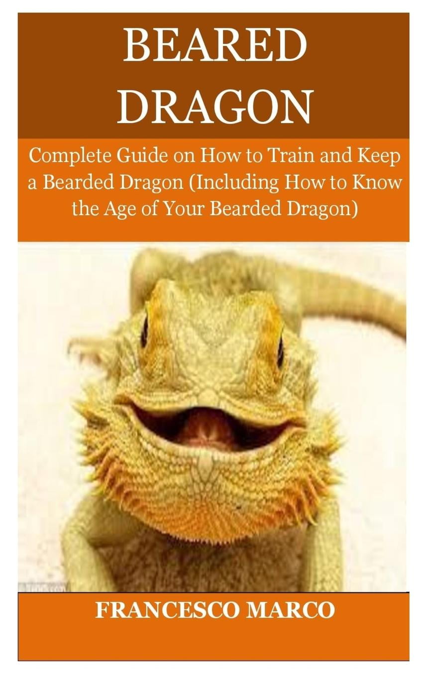 Bearded Dragon Complete Guide on How to Train and Keep a