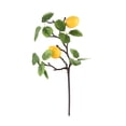 thumbnail image 2 of Simulación de rama de limón (limones gemelos pequeños y oscilantes tipo B), 2 of 14