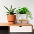 thumbnail image 2 of Wooden Flower Pot Rack Succulent Flowerpot Stand Balcony Bonsai Storage Tray, 2 of 7