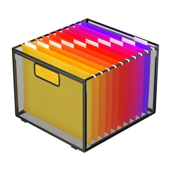 INTIGE Hanging File Organizer, Metal Storage Box, Portable File Box with Handle for Organizing Documents, Paper