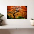 thumbnail image 2 of Elephant Stock Autumn Japanese Maple Tree Wall Art - Horizontal Canvas Wall Art - Living Room Wall Decor - Floral And Botanical Canvas - Orange And Brown Decor - 12" x 8", 2 of 8