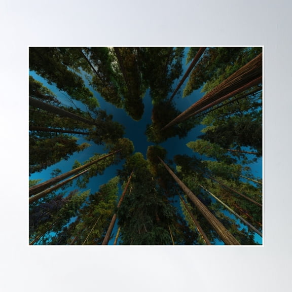 Sky Tree Poster Wall Art Home Decor Paper Poster Print Only