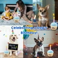 thumbnail image 6 of 2 PACK Dog Birthday Cake Toy, Birthday Dog Bone Toy Plush Dog Squeaky Toy, 7.2 Inch Cute Bone Shape Stuffed Dog Chew Toys Puppy Teething Toys, Cupcake 8.66 Inch Dogs Party Plush Doggie Gift Toys, 6 of 9