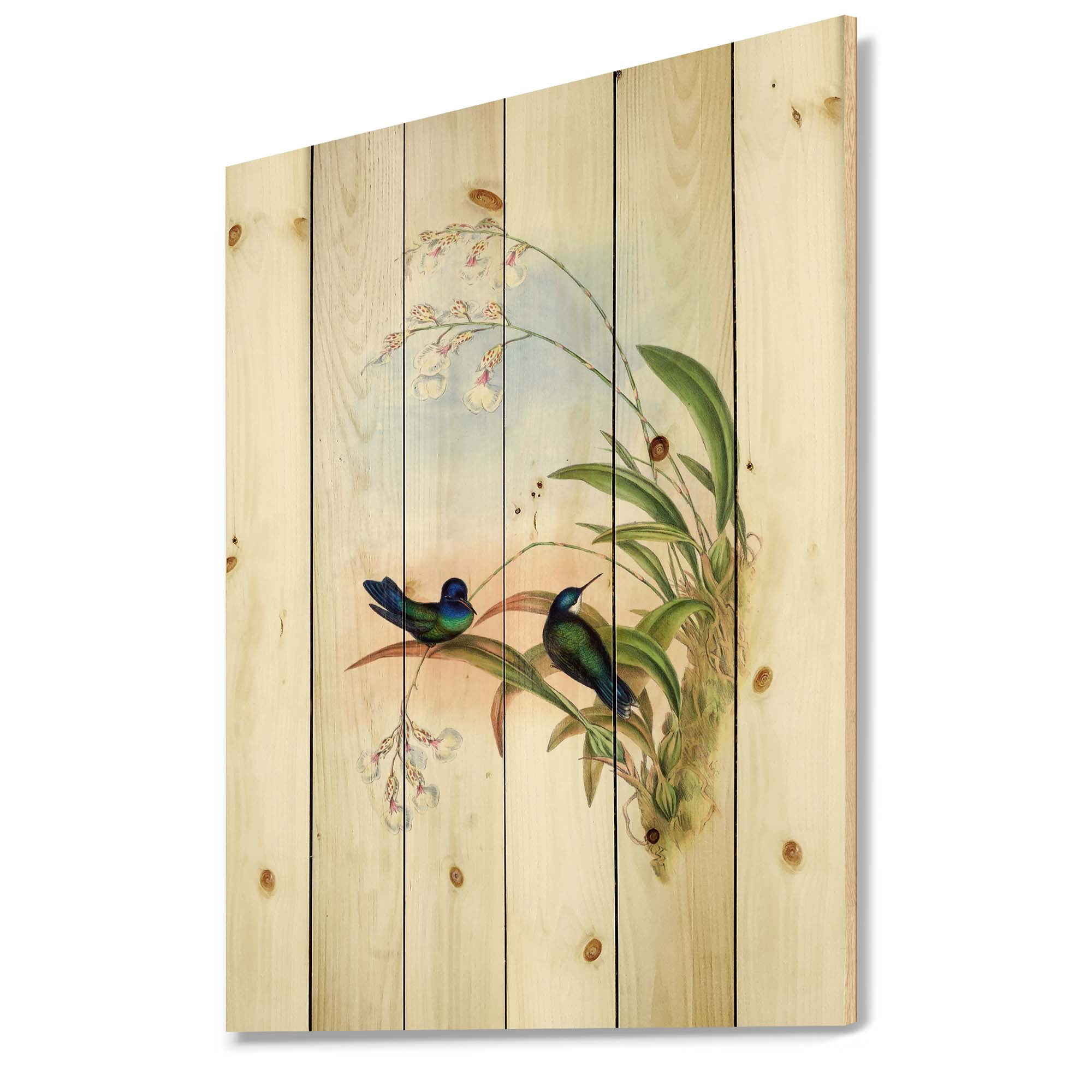 Designart 'Ancient Hummingbird III' Traditional Print on Natural Pine Wood