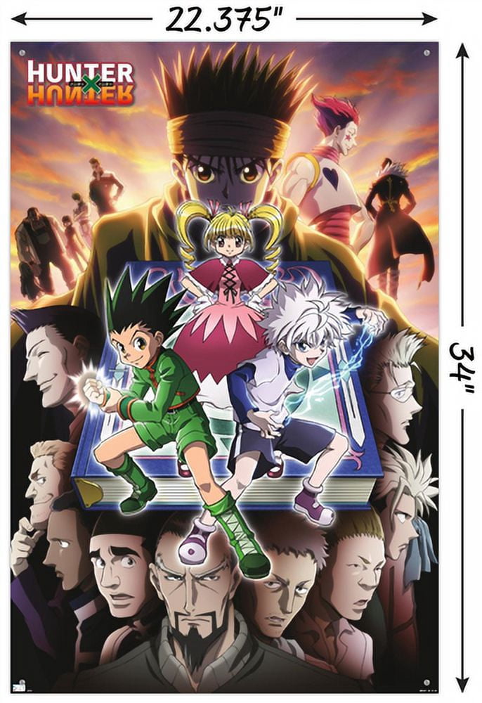 Hunter X Hunter - Book Key Art Wall Poster, 14.725