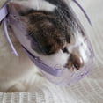 thumbnail image 6 of HEVIRGO Pet Muzzle Hollow Good Craftsmanship Plastic Pet Cat Mouth Cover Kitten Accessories Red Plastic, 6 of 8