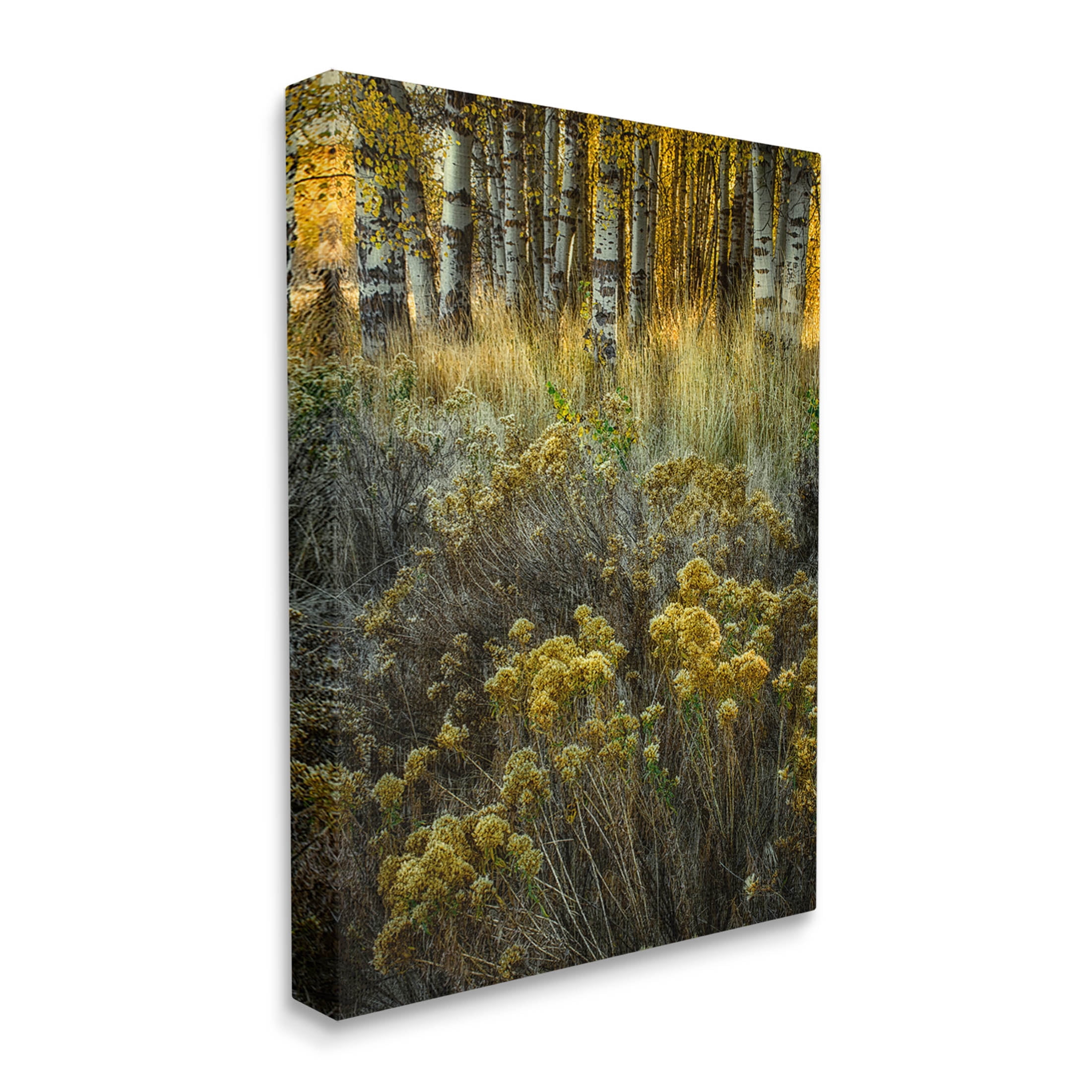 Stupell Industries Woodland Wildlife Plants Yellow Blossoms Photograph Gallery Wrapped Canvas Print Wall Art, Design by David Lorenz