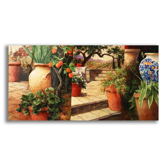 Epic Art 'Turo Tuscan Orange' by Art Fronckowiak, Acrylic Glass Wall Art, 24"x12"