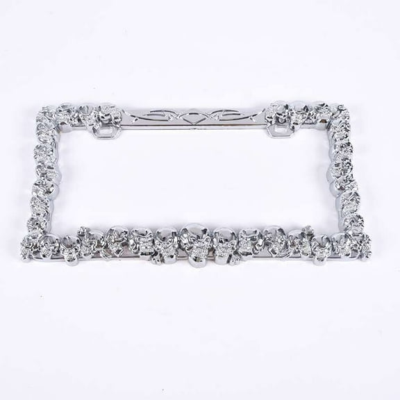 License Plate Frame Skull Design Bold Self-Expression