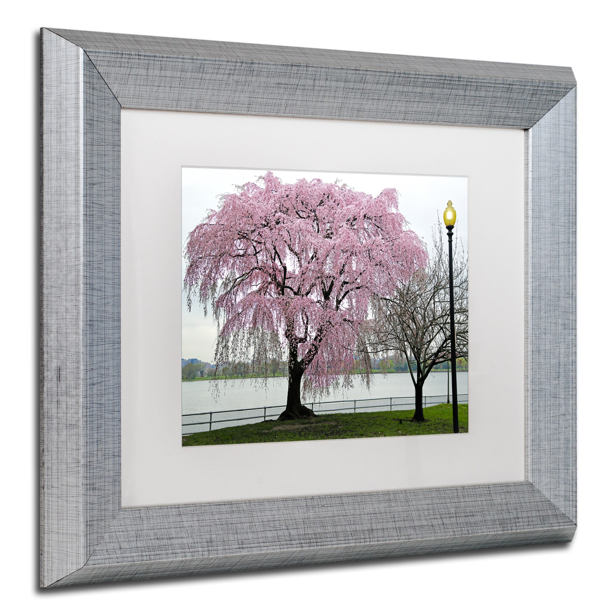 Trademark Fine Art "Cherry Tree" Canvas Art by CATeyes, White Matte, Silver Frame