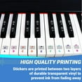 thumbnail image 4 of QMG Color Piano and Keyboard Music Note Full Set Stickers for White and Black Keys; Made in USA, 4 of 11