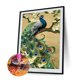 thumbnail image 2 of Diamante pintura DIY Kit pavo real pavo real redondo completo resina Rhinestone arte imagen Hugtrwg Para estrenar, 2 of 9