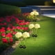 thumbnail image 5 of Lámpara LED de suelo con hortensias decorativas para patio exterior con energía solar | Lámpara de jardín multicolor impermeable con varillas de acero inoxidable | Decoración ambiental para fi, 5 of 5