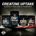 thumbnail image 2 of PMD Strawberry Watermelon Creatine + Glutamine 5.9 oz, 2 of 9
