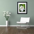 thumbnail image 3 of Trademark Fine Art "White Magnolia Flower" Canvas Art by Kurt Shaffer, White Matte, Black Frame, 3 of 4