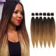 thumbnail image 1 of Cabello trenzado preestirado en tono marrón ombré de 26 pulgadas, 6 paquetes, 1 of 4