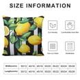 thumbnail image 5 of JEUXUS  Yellow Lemons Black and White Stripes Double Sided Pillow Cases Summer Fresh Fruit Pattern Plush Pillowcase Square Cushion Pillow Covers for Sofa Bed Home Decor, 5 of 5