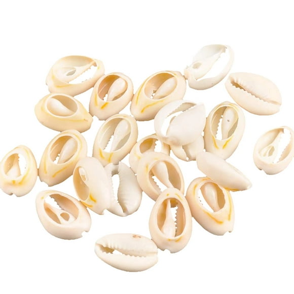 50PCS Spiral Shell Beads Fashion Natural Sea Shell Beach Seashells for Craft DIY