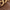 Cognac, variant on Time and Tru Women's Chain Comfort Loafers, Wide Width