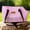 Pink, variant on CHIUNL Going Out Fold Crossbody Bag Handbag- Wire Mesh Portable Breathable Resistant To Scratches, Portable Pet Carrier Tote for Dogs & Cats Carrier (Blue)