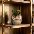 thumbnail image 5 of Cute Owl Ceramic Planter 2.6 Inch, Small Succulent Cactus Flower Pot for Indoor Outdoor Home Office Decor, Animal Style Tabletop Garden Decor Pot Gift, 5 of 6