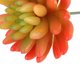 thumbnail image 5 of Decoración de boda del hogar del folje de flor artificial 1 Zulema Planta artificial, 5 of 8