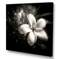 thumbnail image 2 of Designart "Spectral Beauty Of Plumeria In Wild Moonlight" Plumeria Wall Decor, 2 of 7
