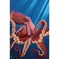 thumbnail image 4 of Octopus (Red), 4 of 4