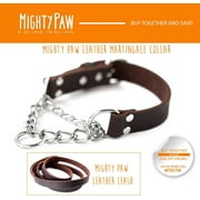 Mighty Paw Leather Training Collar, Martingale Collar, Stainless Steel Chain - Limited Chain Cinch Collar