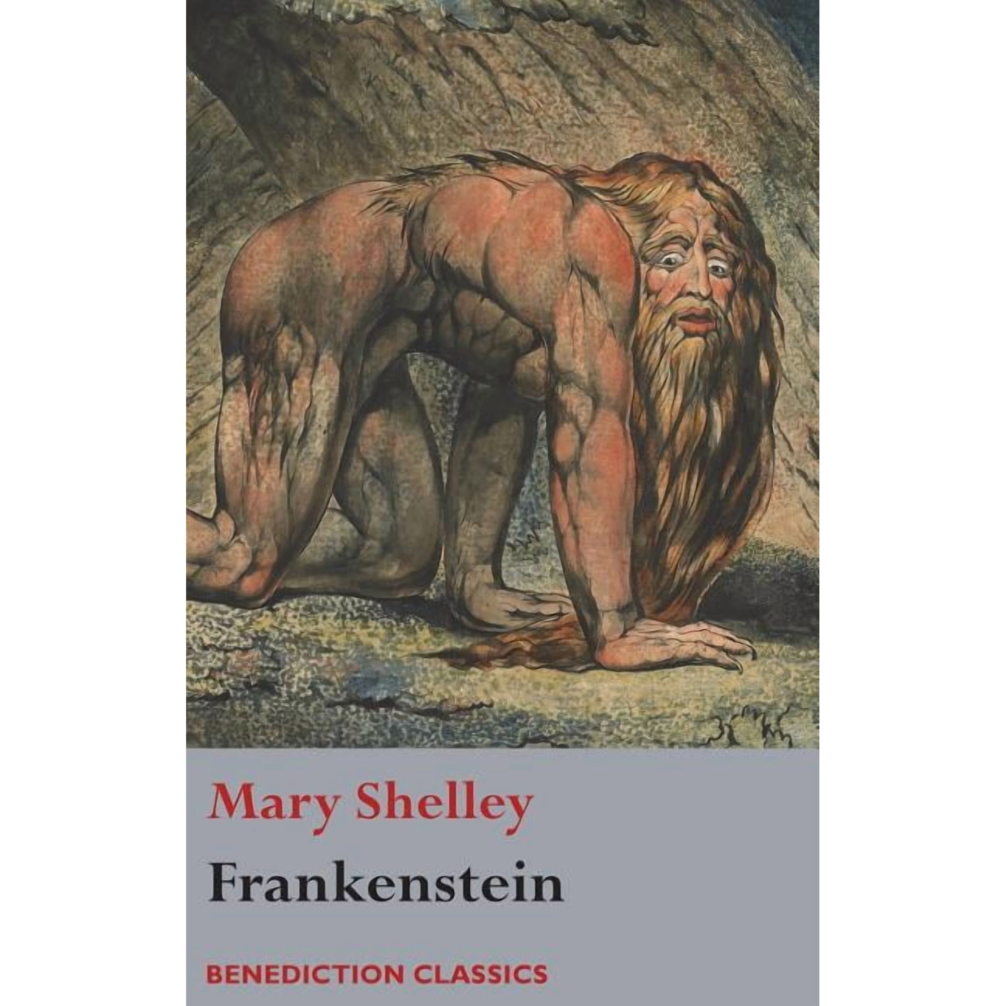 Frankenstein; or The Modern Prometheus: (Shelley s final revision 1831) (Hardcover)