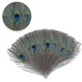 thumbnail image 1 of Plumes de Paon Naturelles Grandes pour Décoration CPDD, 1 of 2