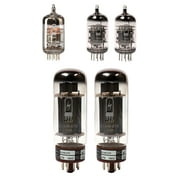 Marshall JCM 800 2204 (50 Watt) TAD Tube Set with Matched Power Tubes