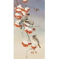 thumbnail image 2 of Unknown 19x32 White Modern Wood Framed Museum Art Print Titled - Finch on Perch, 2 of 4