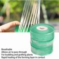 thumbnail image 4 of 3pcs Professional Grafting Tape Stretchable Self-Adhesive Plants Repair Budding Tapes for Fruit Tree Floral Green,DUBUNS, 4 of 5