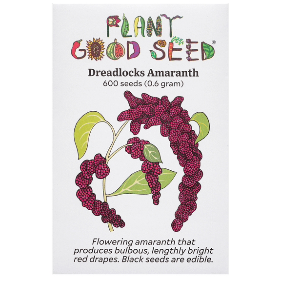 Plant Good Seed Dreadlocks Amaranth Seeds: Annual Pink Flower Bouquet Heirloom Love Lies Bleeding