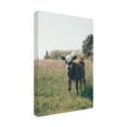 thumbnail image 4 of Canvas Wall Art - Krista Broadway 'Lima' Wall Art for Living Room, Bedroom, or Office Décor by Trademark Fine Art - 16 x 24 Inches, 4 of 4