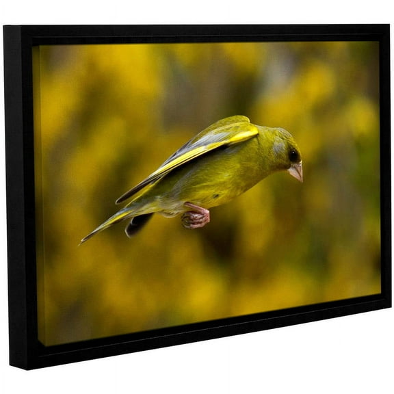 ArtWall Lindsey Janich "Finch Leapings 1" Gallery-Wrapped Floater-Framed Canvas