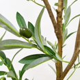thumbnail image 2 of Olive Artificial Silk Tree Faux Potted Olive Silk Tree with Planter Large Faux Olive Branches and Fruits Artificial Tree for Modern Home Office Living Room Floor Decor Indoor (2Packs 5FT), 2 of 5