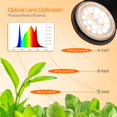 thumbnail image 3 of Grow Light Bstrip de 65 cm de alto y 18 W de espectro completo para plantas de interior, 3 of 8