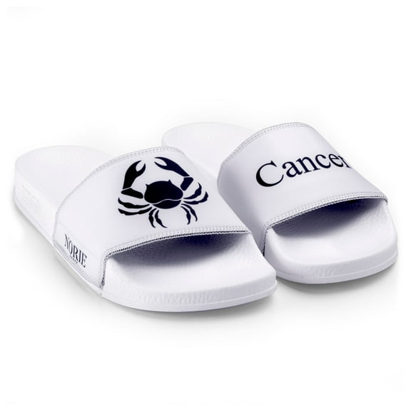 Cancer Zodiac Slides