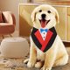 thumbnail image 5 of Bandana Formal para Boda de Perro Collar de Perro con Pajarita Disfraz de Cumpleaños para Perro Esmoquin Ajustable para Fiesta de Mascotas Traje de Boda para Perro Traje de ANGGREK Otros, 5 of 8