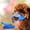 D, variant on Dog Muzzle for Biting Prevention Gentle Cute Pet Accessories Comfortable Breathable Training Aid