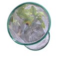 thumbnail image 5 of Insect Cage Transparent Hanging Nature Observation Ventilated Butterfly Habitat House Breeding Tool, 5 of 5