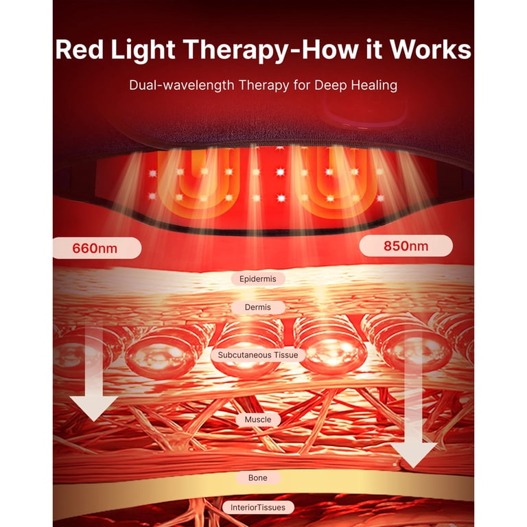RENPHO Back Massage Belt with Heat & Red Light photo 3