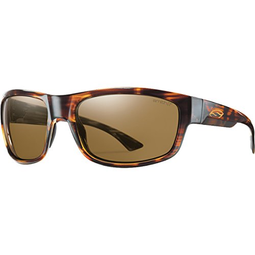 smith havana sunglasses