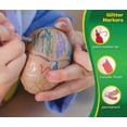 thumbnail image 3 of Crayola Glitter Marker 6 ea (Pack of 4), 3 of 4