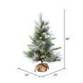 thumbnail image 2 of Vickerman 48"x25" Frosted Pine Artificial Christmas Tree, Unlit, 2 of 3